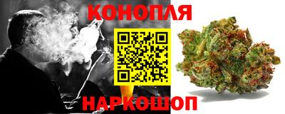 apvp Партизанск