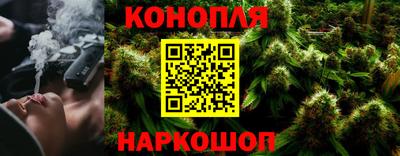 apvp Партизанск