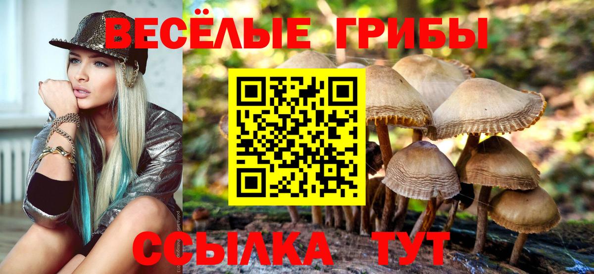 Псилоцибиновые грибы мухоморы  Вход с VPN  Ржев 
