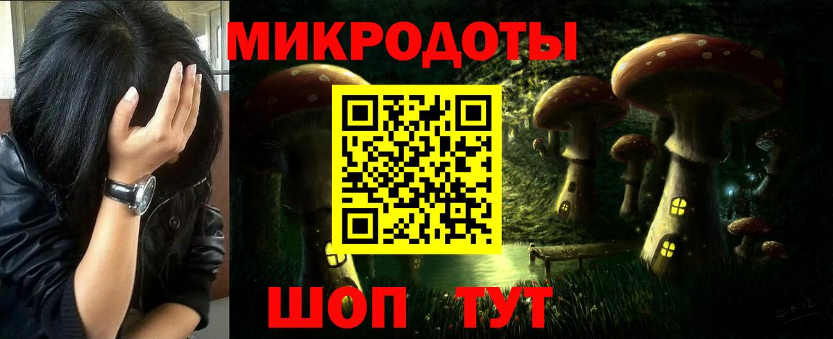 Псилоцибиновые грибы Psilocybe Ржев